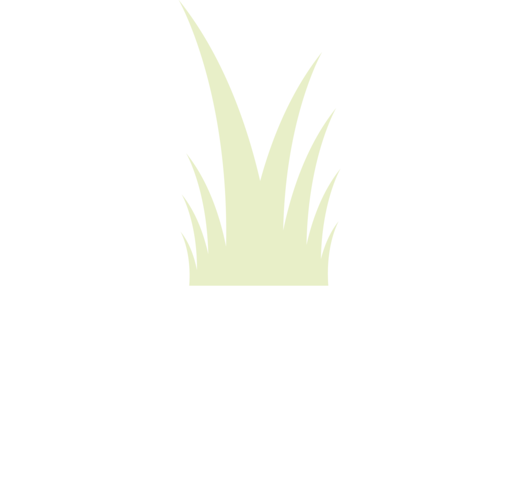 Emmastraat Epe, Emmas Parkzicht